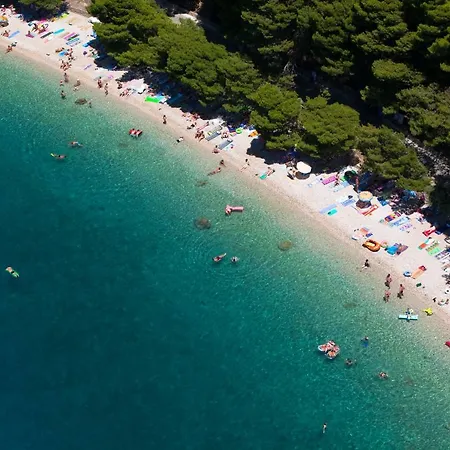 Vesna * Podgora (Split-Dalmatia)