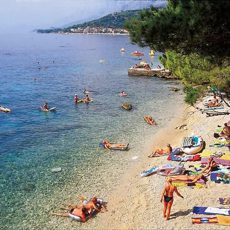 Vesna * Podgora (Split-Dalmatia)